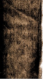 补注洗冤录集证 6