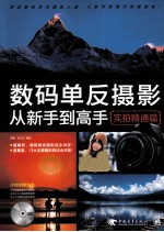 数码单反摄影从新手到高手 实拍精通篇