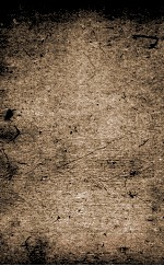 驳枭新编 6