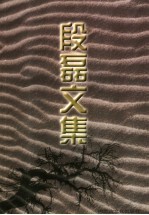 段磊文集 上