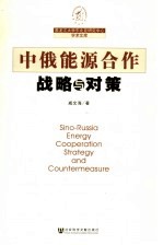中俄能源合作战略与对策