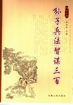 孙子兵法智谋三百 第2版