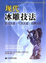 现代冰雕技法 宴会冰雕 节庆冰雕 竞赛冰雕