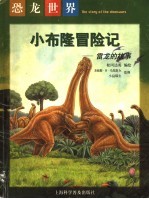 小布隆冒险记