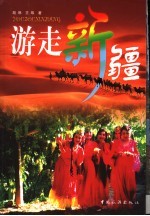 游走新疆