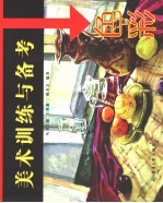 美术训练与备考 色彩
