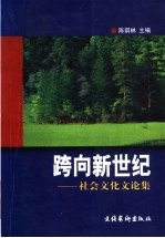 跨向新世纪:社会文化文论集