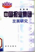 中国报业集团发展研究