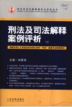 刑法及司法解释案例评析 上