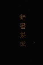 辞书集成 45