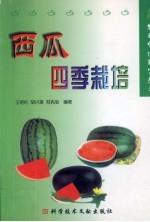 西瓜四季栽培