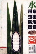 水稻病虫害防治图谱