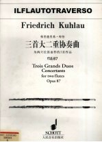 弗里德里希·库劳三首大二重协奏曲 为两支长笛而作的三首作品 第一长笛 作品87