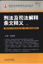 刑法及司法解释条文释义 上