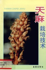 天麻栽培技术