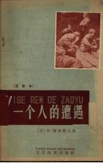 一个人的遭遇 注音本
