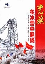 党旗在冰雪中飘扬:中国南方电网公司党团组织抗灾保电纪实