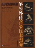 泌尿外科高级技术图解 第3版