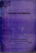 大容量电站锅炉“四管”爆漏调研报告