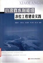 小浪底水利枢纽渗控工程建设实践