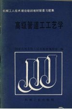 高级管道工工艺学