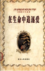 在生命中追逐爱