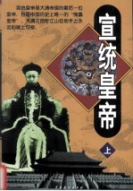 宣统皇帝 上