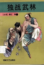 独战武林 下