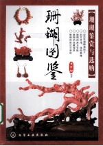 珊瑚图鉴 珊瑚鉴赏与选购
