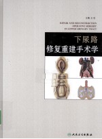 下尿路修复重建手术学