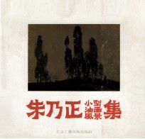 朱乃正小型油画风景集