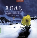 中国野生花卉精彩图片选 第1卷 花影炫色