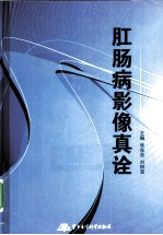 肛肠病影像真诠