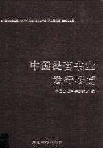 中国民营书业发行概览 下