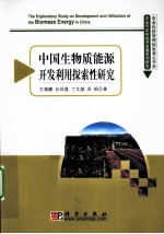 中国生物质能源开发利用探索性研究