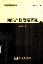 知识产权战略研究