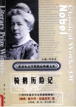 骑鹅历险记 下