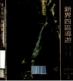 新界四区导游 港九旅行路线图 3