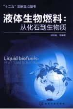 液体生物燃料 从化石到生物质