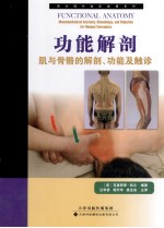 功能解剖 肌与骨骼的解剖、功能及触诊
