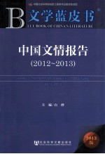 中国文情报告 2012-2013
