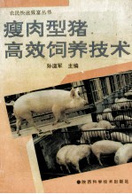 瘦肉型猪高效饲养技术