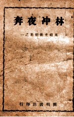 林冲夜奔