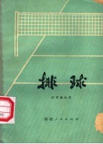 排球