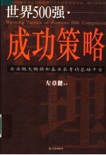 世界500强成功策略 企业做大做强和基业长青的基础平台