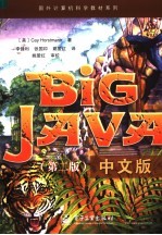 BIG JAVA·中文版 第2版