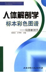人体解剖学标本彩色图谱 局部解剖学 中英文本