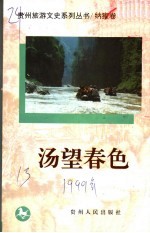 汤望春色