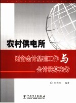 农村供电所财务会计基础工作与会计核算实务
