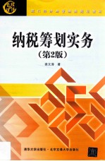 纳税筹划实务 第2版